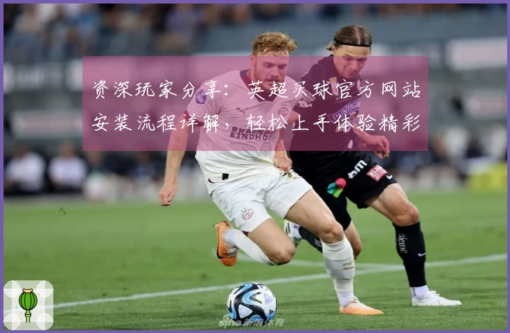 资深玩家分享:英超买球官方网站安装流程详解,轻松上手体验精彩赛事