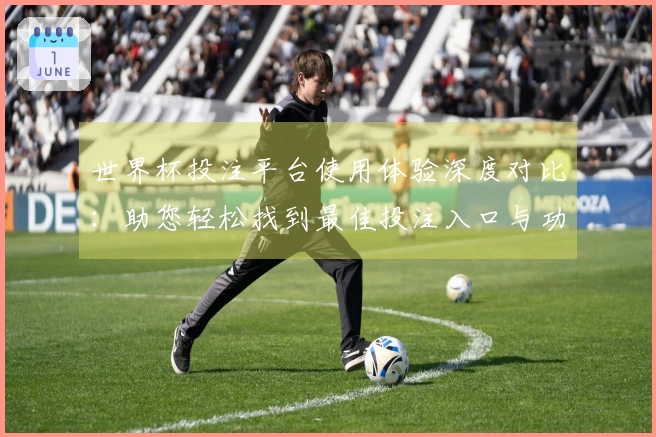 世界杯投注平台使用体验深度对比：助您轻松找到最佳投注入口与功能