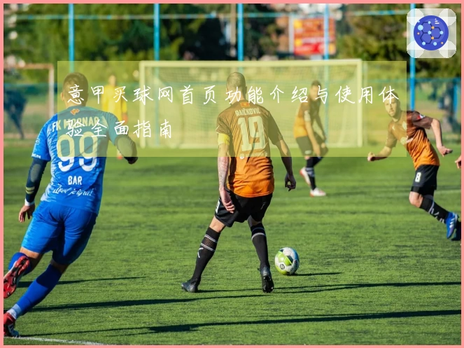 意甲买球网首页功能介绍与使用体验全面指南