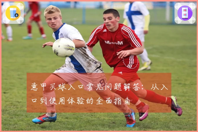 意甲买球入口常见问题解答：从入口到使用体验的全面指南