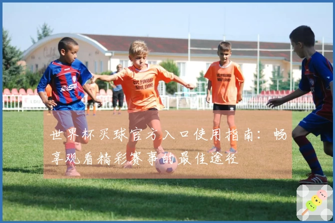 世界杯买球官方入口使用指南：畅享观看精彩赛事的最佳途径