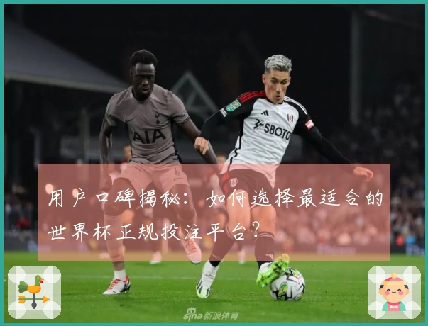 用户口碑揭秘：如何选择最适合的世界杯正规投注平台？
