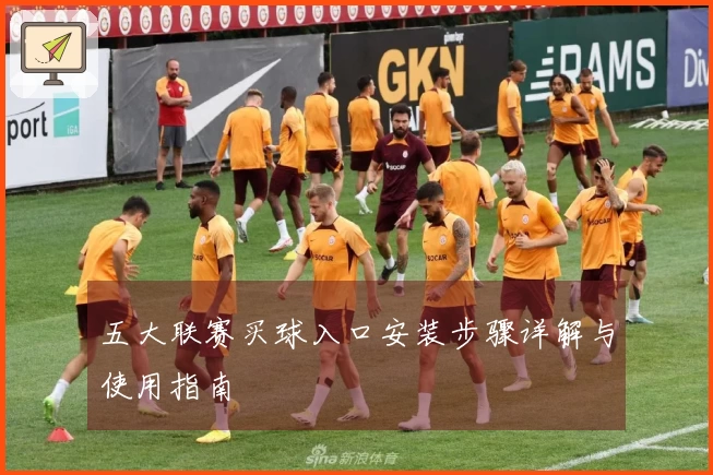 五大联赛买球入口安装步骤详解与使用指南